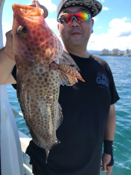 龍神丸(鹿児島) 釣果