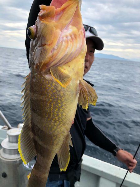 あみや渡船 JIGBOY 釣果