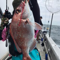 ランスルー 釣果