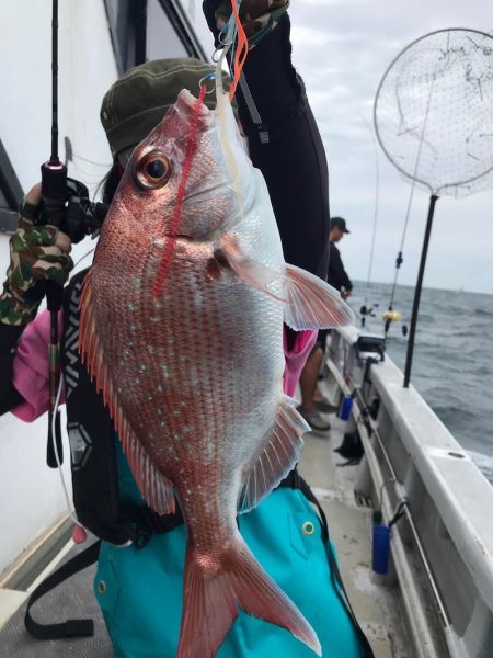 ランスルー 釣果