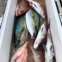 第二八坂丸 釣果