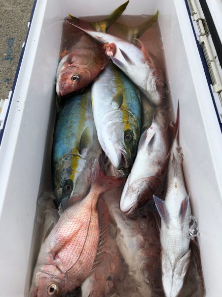 第二八坂丸 釣果