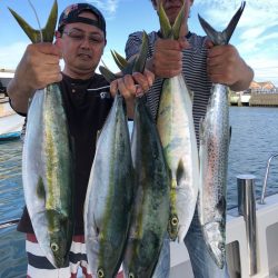 ビッグファイター 釣果