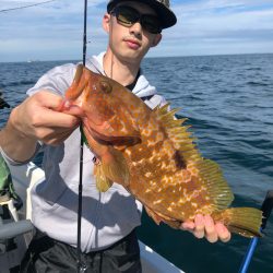 「LaGooN」蒼陽丸 日和号 釣果