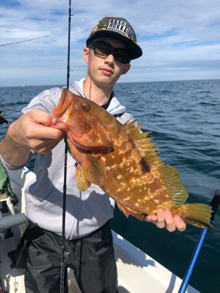 「LaGooN」蒼陽丸 日和号 釣果
