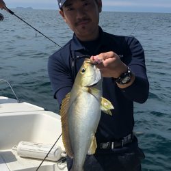 「LaGooN」蒼陽丸 日和号 釣果