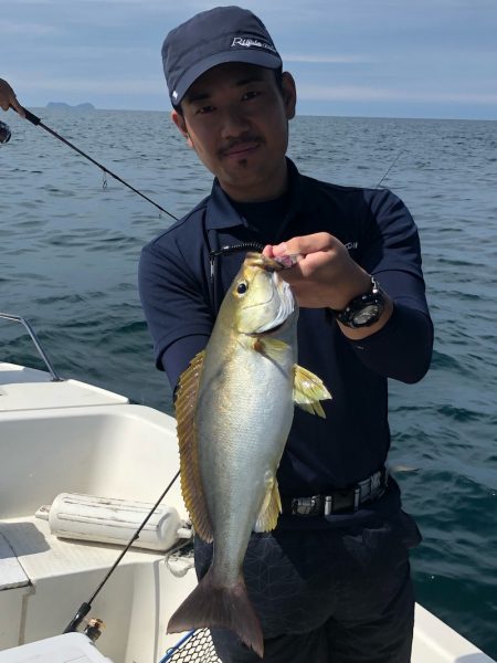 「LaGooN」蒼陽丸 日和号 釣果
