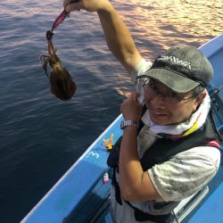 ヤザワ渡船 釣果