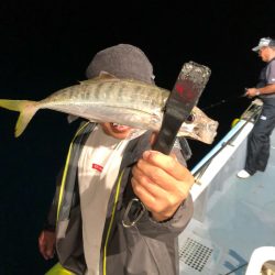 ＴＡＲＯＭＡＲＵ 釣果