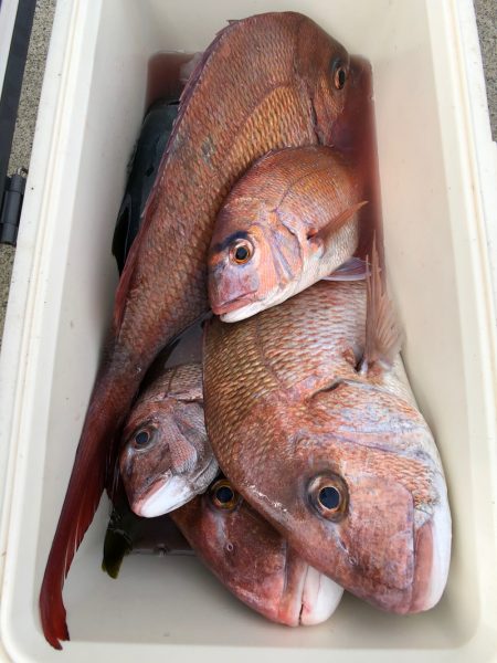 第二八坂丸 釣果