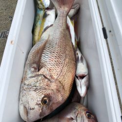 第二八坂丸 釣果