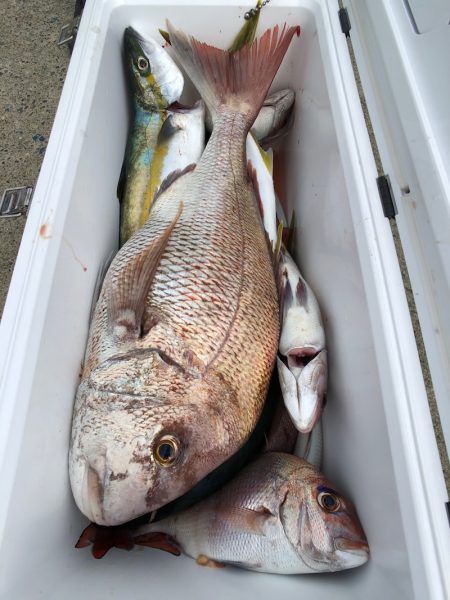 第二八坂丸 釣果