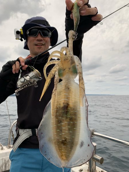 エヌスタイル 釣果
