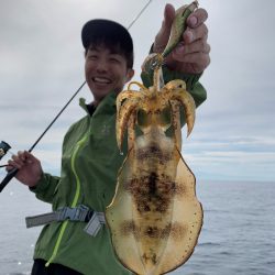 エヌスタイル 釣果