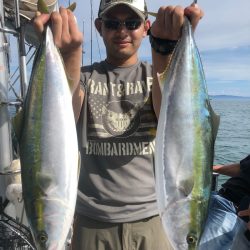 ビッグファイター 釣果