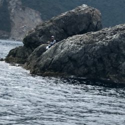 あみや渡船 釣果