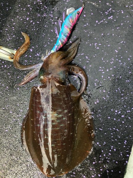 あみや渡船 釣果