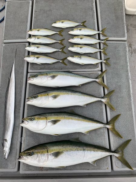 SeaRide(シーライド) 釣果