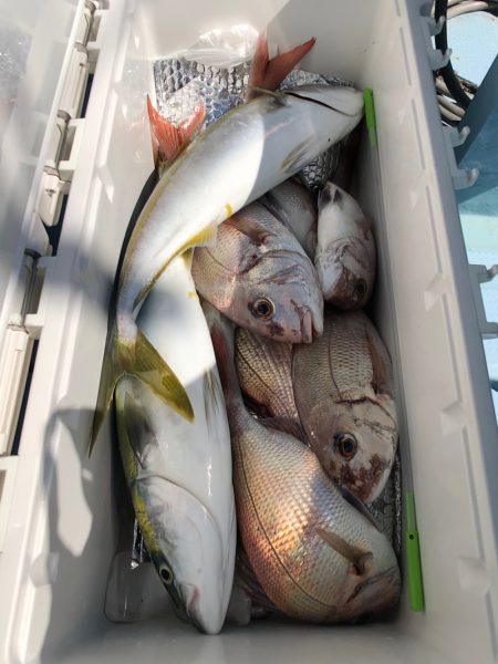 第二八坂丸 釣果