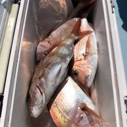 第二八坂丸 釣果