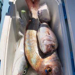 第二八坂丸 釣果