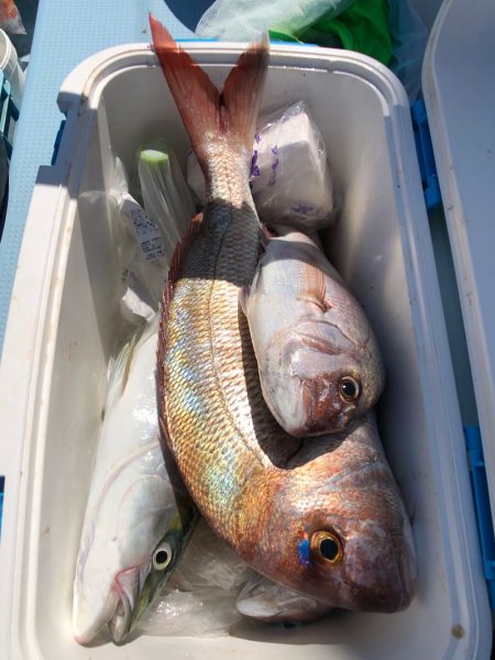 第二八坂丸 釣果