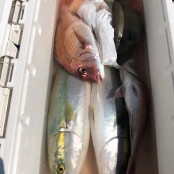 第二八坂丸 釣果