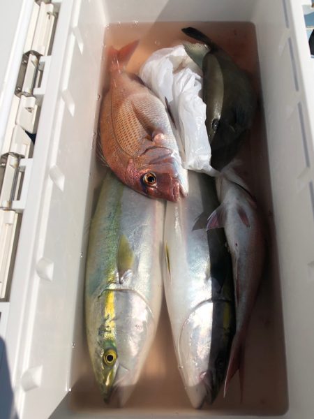 第二八坂丸 釣果