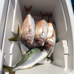 第二八坂丸 釣果