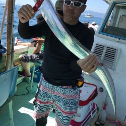 ヤザワ渡船 釣果