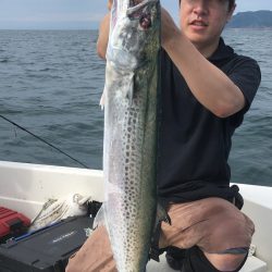 「LaGooN」蒼陽丸 日和号 釣果