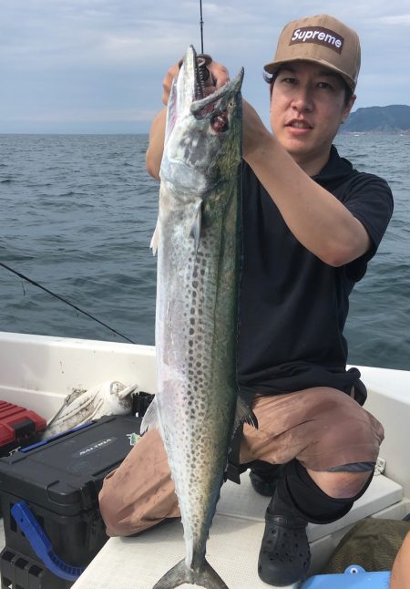 「LaGooN」蒼陽丸 日和号 釣果