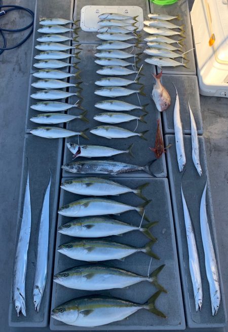 SeaRide(シーライド) 釣果