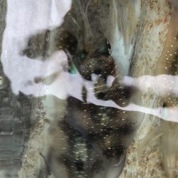 あみや渡船 JIGBOY 釣果