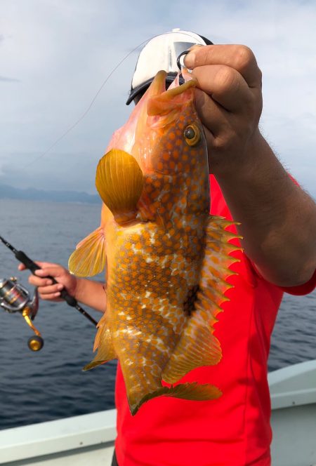 あみや渡船 JIGBOY 釣果