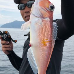 あみや渡船 JIGBOY 釣果