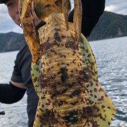 あみや渡船 JIGBOY 釣果