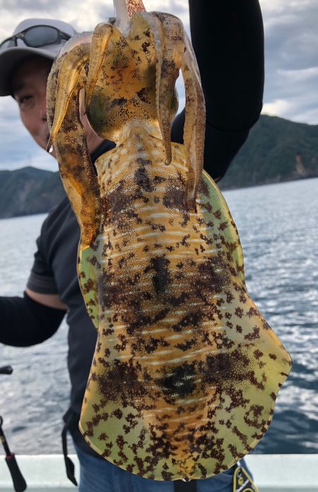 あみや渡船 JIGBOY 釣果