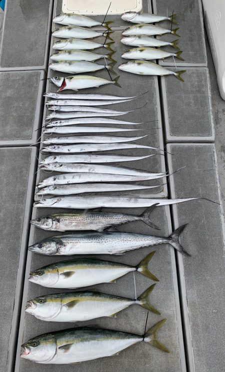 SeaRide(シーライド) 釣果