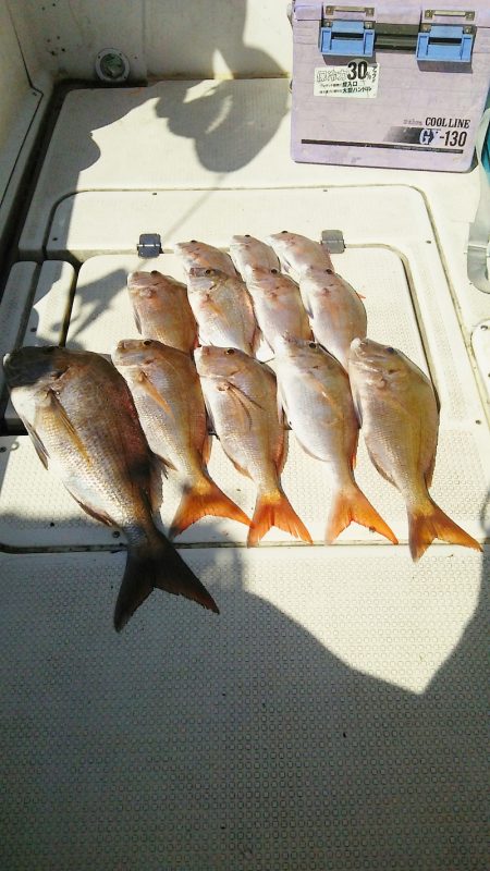 マリンガイド福丸 釣果