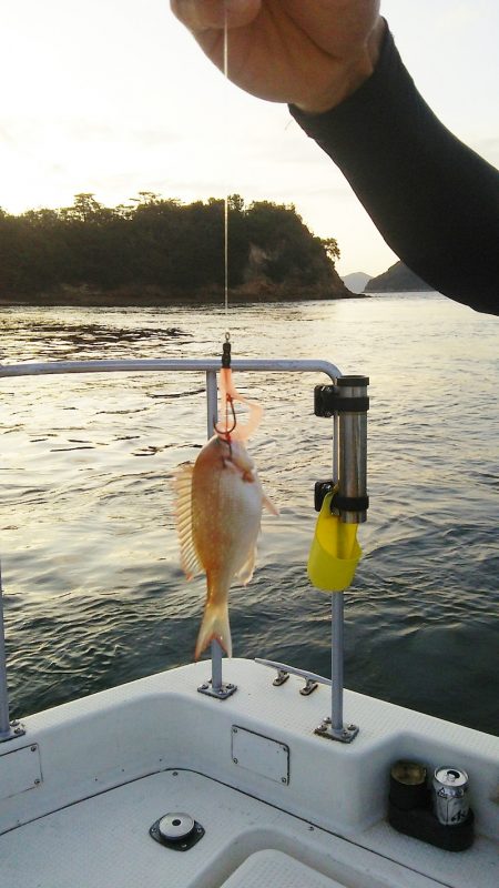 マリンガイド福丸 釣果