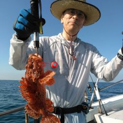 海季丸(みきまる) 釣果
