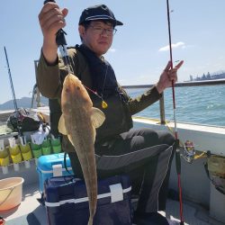 海季丸(みきまる) 釣果