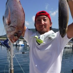 ＪＤＩ　Ｒａｃｉｎｇ　シールズマリンレジャー 釣果