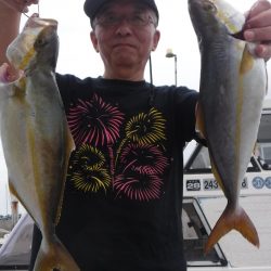 JDI Racing シールズマリンレジャー 釣果