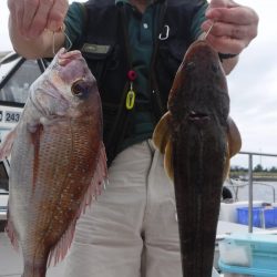 JDI Racing シールズマリンレジャー 釣果