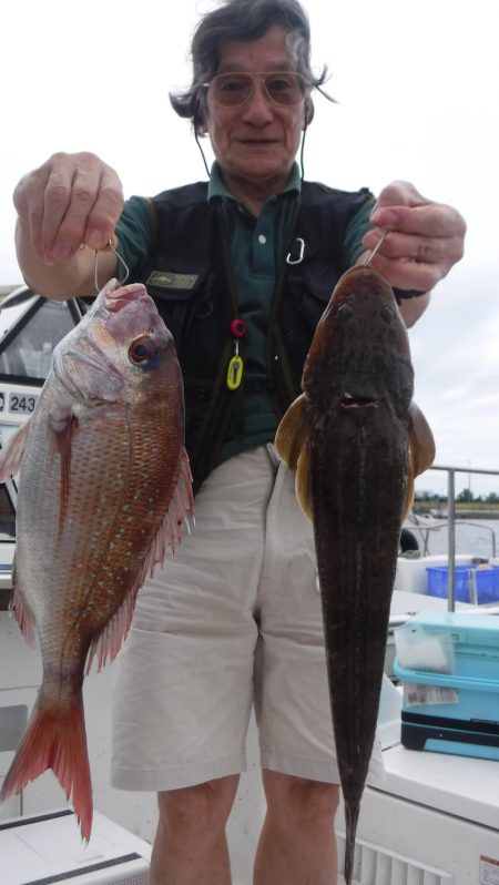 JDI Racing シールズマリンレジャー 釣果