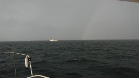 JDI Racing シールズマリンレジャー 釣果