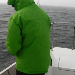 JDI Racing シールズマリンレジャー 釣果