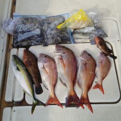 マリンガイド福丸 釣果